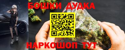 индика Можайск