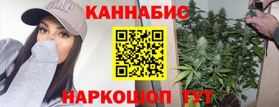 индика Можайск