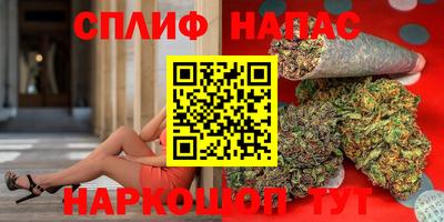 индика Можайск