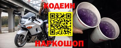 индика Можайск